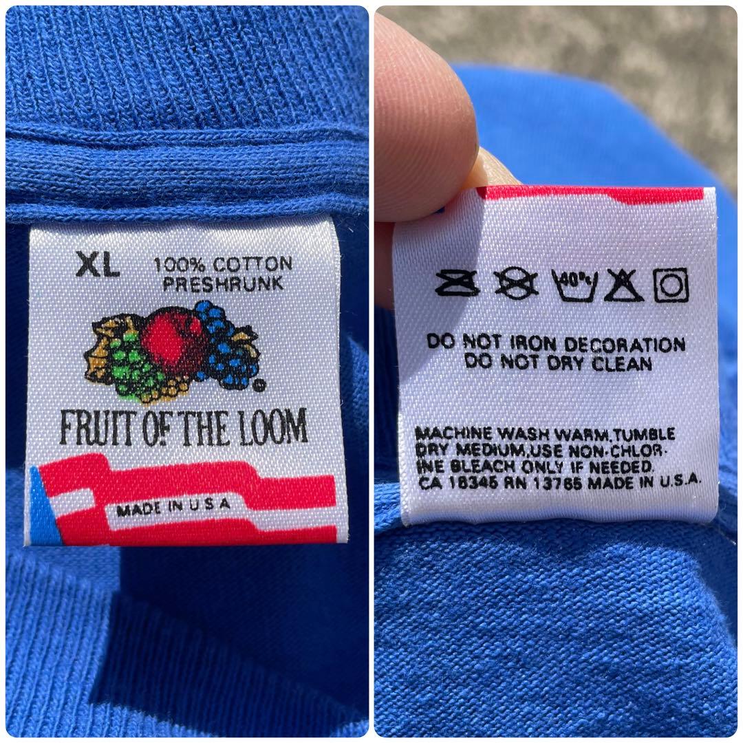USA製 90's フルーツ オブ ザ ルーム シングルステッチ 古着 Tシャツ